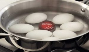 زمان سنج تخم مرغی