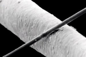 پاور بانک 31