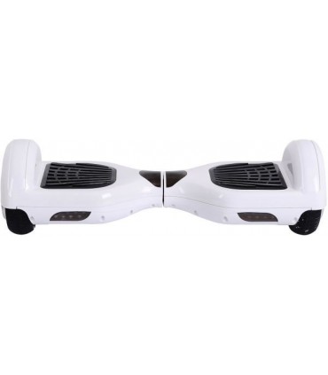 اسکوتر برقی D1R