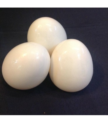 تخم مرغ ژله ای