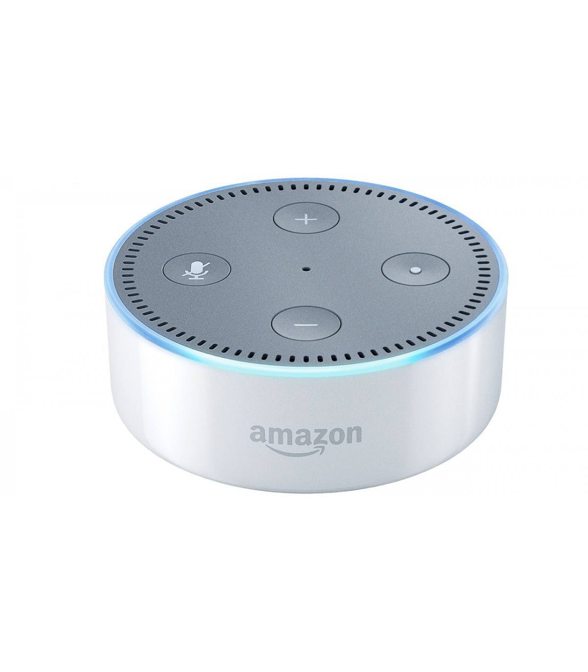 echo 2nd generation dot