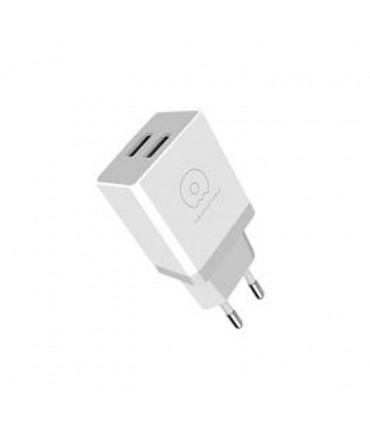 شارژر دیواری دبلیو یو دبلیو مدل C62