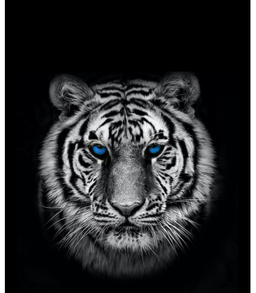 ساعت هوشمند  گیفت کالکشن مدل Tiger