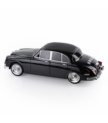 اسپیکر قابل حمل گیفت کالکشن مدل ws596