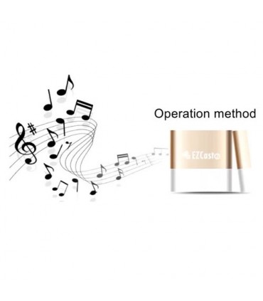 دانگل EZCAST Music