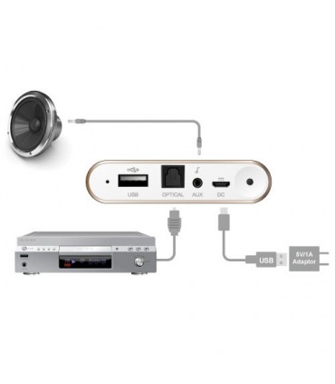 دانگل EZCAST Music