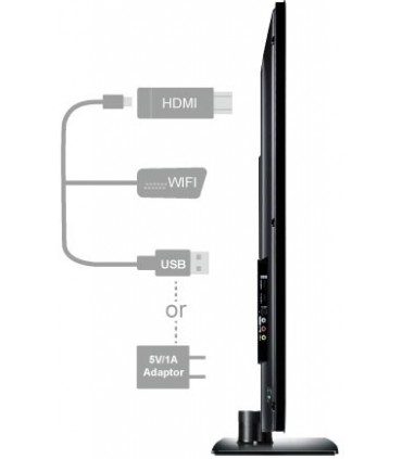 دانگل EZCast C1