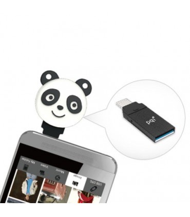 فلش مموری پی کیو آی ظرفیت 8 گیگابایت Connect 304