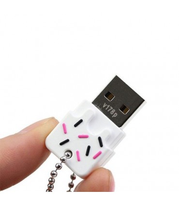 فلش مموری اچ پی 16 گیگابایت v178b/v178p