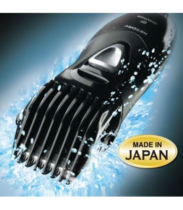 ماشین اصلاح سر و صورت پاناسونیک ER2405