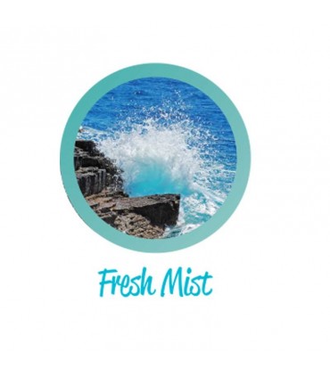 یدک دوتایی خوشبوکننده خودرو Freshtech ( بوی تازگی)