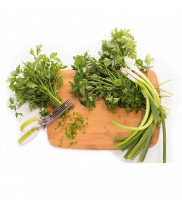 قیچی سبزی خردکن kitchen scissors