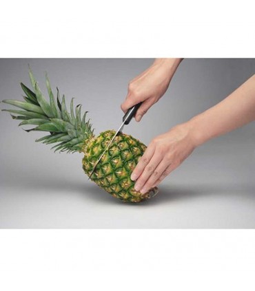 پوست کن آناناس ایزی اسلایسر Easy Slicer
